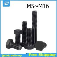 External Hex Head Bolt Metric Thread Hexagon Head Screw Black Carbon Steel M5 M6 M8 M10 M12 M14 M16