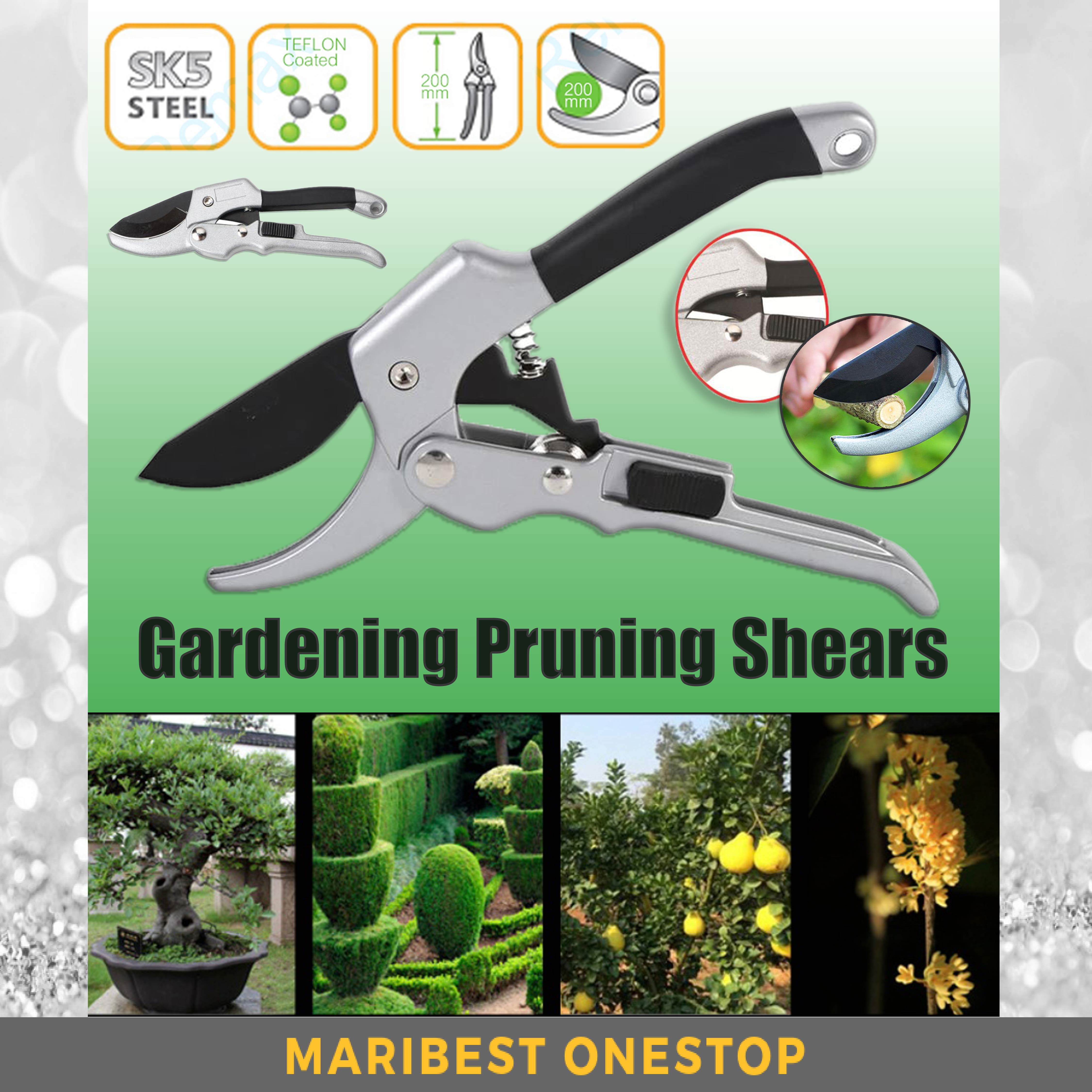 Bonsai and Other Plants Rose Bush Flower POHAKU SK-5 Gardening Hand Tools Garden Shears 8.0 Inch Bypass Pruning Shears for Gardening with a Spare Spring and a Sheath for Trimming Herb Vegetables 