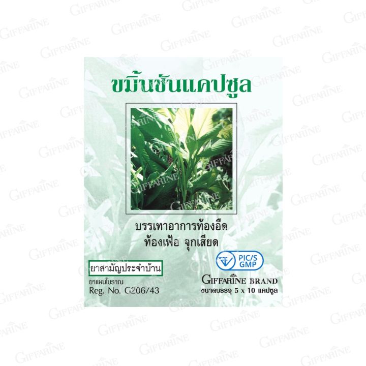 ขมิ้นชัน-แคปซูล-ยาแผนโบราณ-กิฟฟารีน-giffarine