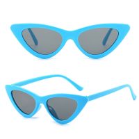 【cw】 Sun Protection Glasses Eyewear Shades for Female UV400 Eyeglasses Women Sexy Retro Cat Eye Sunglasses 【hot】 !