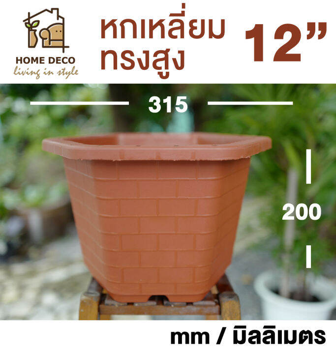 กระถางบอนไซ-หกเหลี่ยม-กระถางต้นไม้พลาสติก-กระถางสไตล์จีน-hexagon-plant-pot-bonsai-hexagon-pot