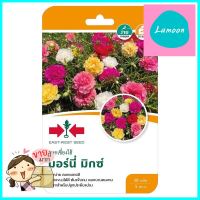 เมล็ดพันธุ์แพรเซี่ยงไฮ้ มอร์นี่ มิกซ์ ศรแดงMOSS ROSE SEEDS SORNDAENG MORNY MIX **มีบริการชำระเงินปลายทาง**