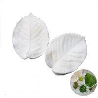 【Ready Stock】 ♈✆☏ C14 Leaf Petal Veiner Gum Paste Mold Sugar Craft Tools Rose Flower Vein Veiners Mold