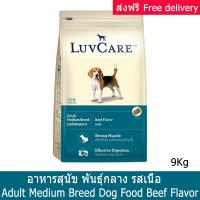 [9kg] LuvCare Adult Medium Breed Beef Flavor Dog Food เลิฟแคร์ อาหารสุนัข สำหรับสุนัขโตพันธุ์กลาง รสเนื้อ 9 กก. (1 กระสอบ)