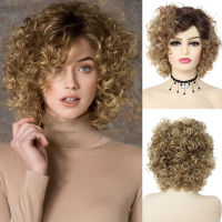 GNIMEGIL Synthetic Omber Brown Short Pixie Cut Curly Wig for Women Wig with Bangs Natural Daily Cosplay Halloween Heat Resistant Wig  Hair Extensions