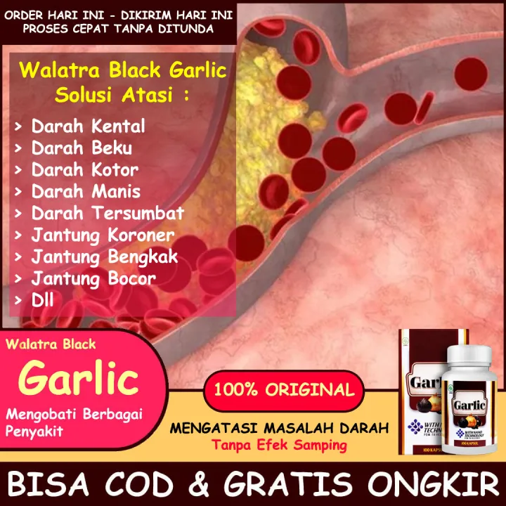 Walatra Black Garlic Kapsul Asli Original Obat Pengencer Darah Kental