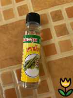 ESSENTIAL OIL Moringa Oil // 20ML.