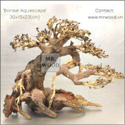 Lũa Bonsai Đế Đá cho Hồ Thủy Sinh - Cao 23 dài 30 cm