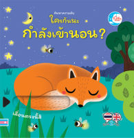 หนังสือเด็ก บอร์ดบุ๊ค ค้นหาความลับ ใครกันนะกำลังเข้านอน ? เสริมสร้างทักษะ ก่อนวัยเรียน