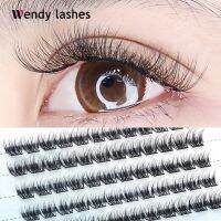 Wendy Cluster Lashes Mink Individual Eyelash Natural Thick Lashes Russian Volume Beam Eyelashes DIY Lashes Bundles