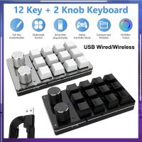 คีย์บอร์ดขนาดเล็ก12Key 2ปุ่มปรับแต่งได้เองหมวกพิซซ่าเล่นเกม Teclado การปรับแต่งคีย์บอร์ดแบบกลไกแป้นพิมพ์แมโคร