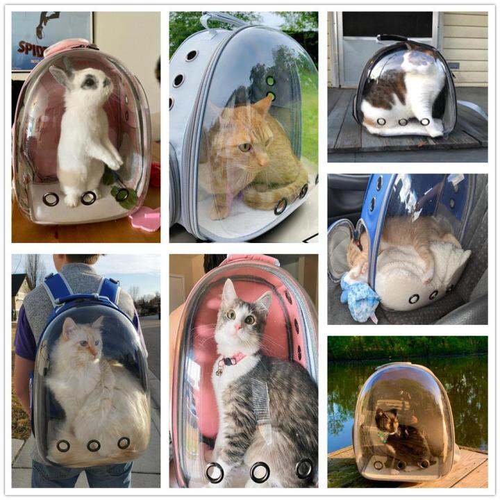 cat-carrier-bags-breathable-carriers-small-dog-cat-backpack-travel-space-capsule-cage-transport-bag-carrying-for-cats