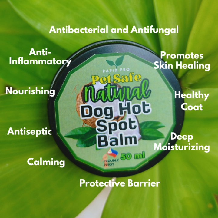 Dog Puppy Hot Spot Itchy & Irritated Skin Natural & Organic Treatment