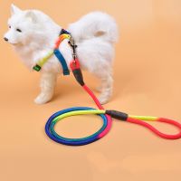 Adjustable Nylon Training Round Traction Rope Pet Dog Harness Lead Walking Running Leashes Cat Chest Strap Vest Leash 1.2m 1PCS