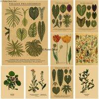 Vintage Botanical ภาพประกอบโปสเตอร์พืชใบและดอกไม้บนผ้าใบคราฟท์สำหรับ Home, Room, Bar หรือ Cafe Aesthetic Wall Decor ภาพวาด