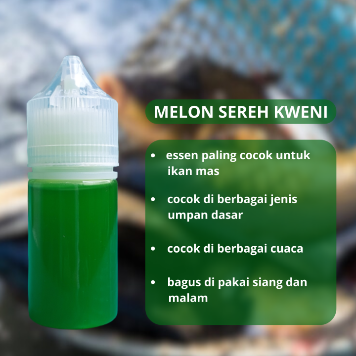 Essen Oplosan Paling Cocok Untuk Ikan Mas Dan Cocok Untuk Harian