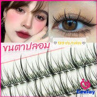 CeeJay ขนตาปลอม ขนตาปลอมแต่งหน้ามืออาชีพ 120 ช่อ ช่อคนตาเทรนสาวเวียดนาม  Little devil false eyelashes