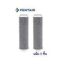 PENTAIR รุ่น CTS-100M CART PACK 2 PCS :ไส้กรองน้ำดื่มระบบ MF 0.5 ไมครอน แพ็ค 2 ชิ้น