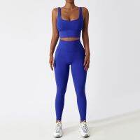 Seamless Suit Yoga Leggings Sport Suits Gym Yoga Clothing - 2pcs Women Set Gym - Aliexpress