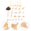 Creamnin 24 cái hình bộ xương khủng long hình giảng dạy đồ chơi khảo cổ - ảnh sản phẩm 1