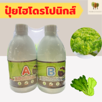 ปุ๋ยน้ำ a b ไฮโดร ปุ๋ยน้ำab ปุ๋ยไฮโดรโปนิกค์ ปุ๋ยน้ำ น้ำยาปลูกผัก ปุ๋ยปลูกผักไฮโดร ขนาด 0.5 ลิตร