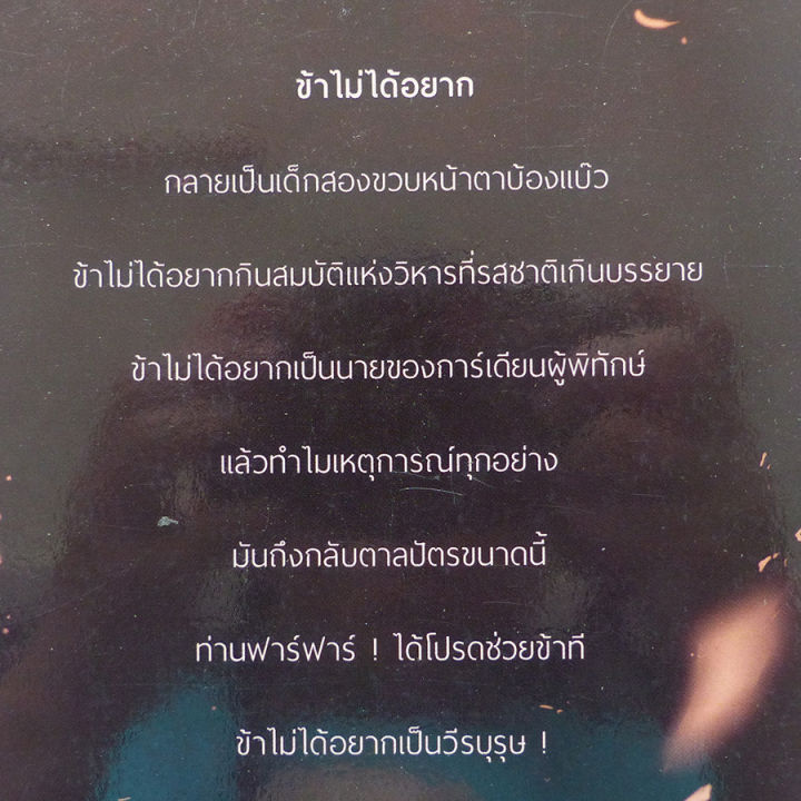 นิยายแฟนตาซี-light-spirit-วีรบุรุษจำเป็น-ศึกการ์เดียน-มือหนึ่ง-ร้านปิ่นบุ๊กส์-pinbooks