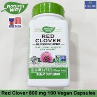 สมุนไพร เรด โคลเวอร์ Red Clover Blossom/Herb 400 mg 100 Vegetarian Capsules - Natures Way