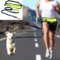 Pet Dog Leash Collar Waist waterproof Pockets Running Jogging Dog Leads chain For large dogs puppy Traction Rope Pet Supplies