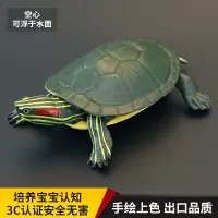 Solid childrens simulation animal toy model set Brazilian turtle crawling red-eared cognitive gift decoration