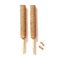 2 Natural Coconut Palm Sticks-Support the Forward Growth of Indoor Plants-Use Plant Support Poles Alone or Together