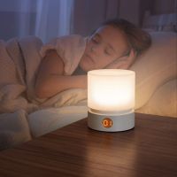 Cylindrical dimming bed lamp night light countdown turn off light sleep aid rechargeable smart night light