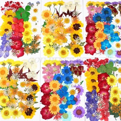 [AYIQ Flower Shop] 1แพ็คดอกไม้แห้ง UV เรซิ่นตกแต่งสติกเกอร์ดอกไม้ธรรมชาติ3D แห้งความงามรูปลอกอีพ็อกซี่แม่พิมพ์ DIY บรรจุอุปกรณ์เสริม