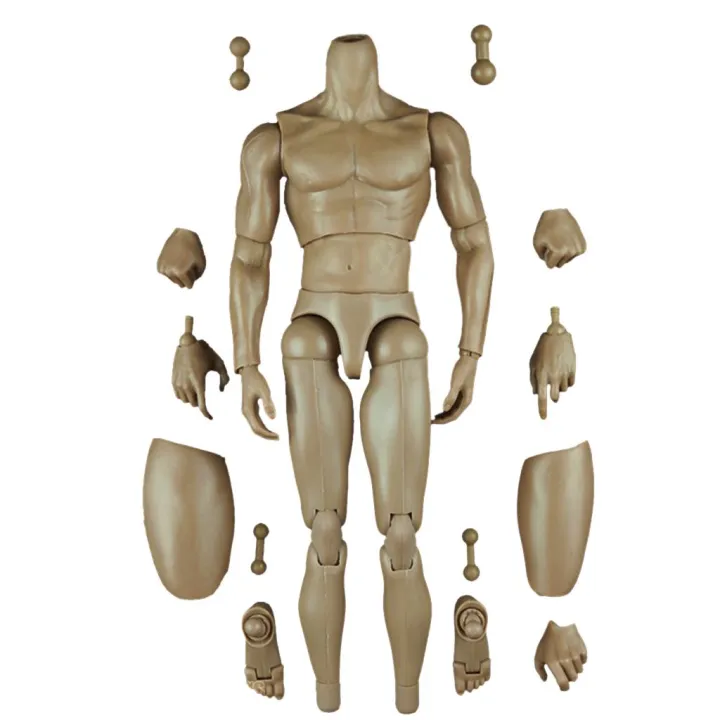 Pelune 1:6 Scale Action Figure Male Muscle Body Toys Version 2.0 for ...