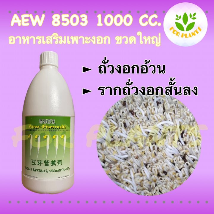 forplants-8503-ฮอร์โมน8503-ขวดใหญ่-1000มิลลิลิตร-ฮอร์โมนเพาะงอก-ฮอร์โมนถั่วงอก-เพาะถั่วงอก-ควรใช้คู่กับ-8503ขวดเล็ก-ถั่วงอกอ้วน-ถั่วงอกรากสั้น