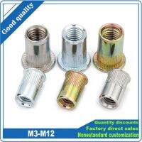 10/20X M3 M4 M5 M6 M8 M10 M12 304 สแตนเลสสตีลเหล็กคาร์บอนอลูมิเนียมแบน Head Rivet Nut ใส่ Rivnut Nutsert สำหรับสกรู Bolt-Shief