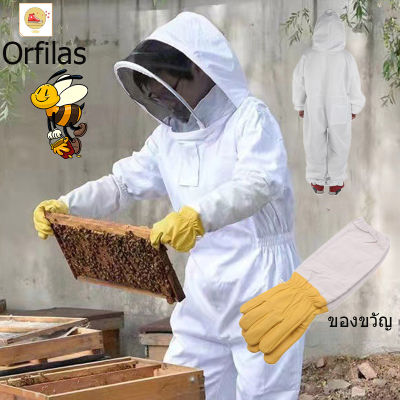 Orfilas 🐝🐝เพิ่มความหนา ชุดจับผึ้ง จั๊มสูท ระบายอากาศ หมวกกันแมลง อุปกรณ์เลี้ยงผึ้ง ชุดจับผึ้งครบชุดชุดป้องกันผึ้ง(ส่งถุงมือ) เสื้อผ้าผ้าฝ้ายกันผึ้ง