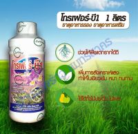 ยาเร่งราก เร่งใบ ปุ๋ยน้ำ วิตามินบี1 สูตรเข้มข้น 1L ปุ๋ยเคมี ปุ๋ยทางใบ เหมาะกับกิ่งตอน ต้นกล้าที่ย้ายที่ปลูกใหม่ ช่วยให้พืชแตกรากใบดี