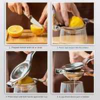 [ABLE] NewLemon Fruit Fruit Fruits Tools