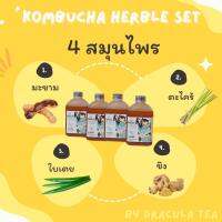 (Set 4 ขวด รสสมุนไพร) Dracula ชาดูดพิษ Raw Kombucha organic คอมบูชา คอมบูชะ ชาหมัก ดีท็อกซ์ ท้องผูก โพรไบโอติกสูง ชาผู่เอ๋อ ต้านอนุมูลอิสระ detox probiotic antioxi