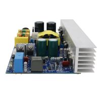 1000W Class D Power Amplifier Board Mono Power Amp Board with Switching Power Supply