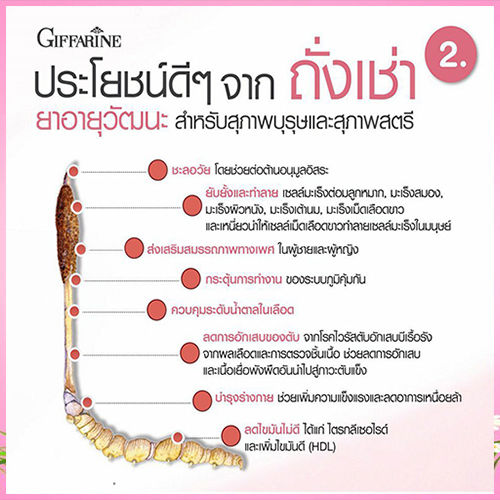 super-sale-เคล็ดลับสวยสมวัยgiffarinถั่ง-เช่าwสำหรับผู้หญิงส่งเสริม-สมรรถ-ภาพ-จำนวน1ชิ้น-รหัส41030-บรรจุ20แคปซูล-lung-d-ของแท้100