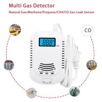 2 In 1 Propane Butane CO Sensor AC90V-240V EU Plug DC9V Battery Powered Combustible Gas Detector Fire Alarm LED Flash 85dB Sound