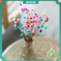 OKDEALS 30pcs สวย อุปกรณ์จัดงานแต่งงาน การตกแต่งบ้าน ดาวดวงเล็ก มินิเดซี่ ดอกไม้ประดิษฐ์ ช่อดอกไม้