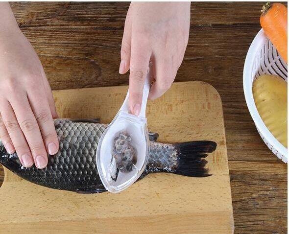 fish-scale-peeler-ที่ขอดเกล็ดปลา-อุปกรณ์ครัว-ที่ขูดเกล็ดปลา-อุปกรณ์ขอดเกล็ดปลา-ที่ขูดเกล็ดปลา