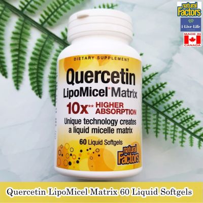 เควอซิทิน Quercetin LipoMicel Matrix 60 Liquid Softgels - Natural Factors เควอซิติน
