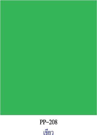 pp-209-สีเขียว-กระดาษโปสเตอร์สี-2-หน้า-20-แผ่น