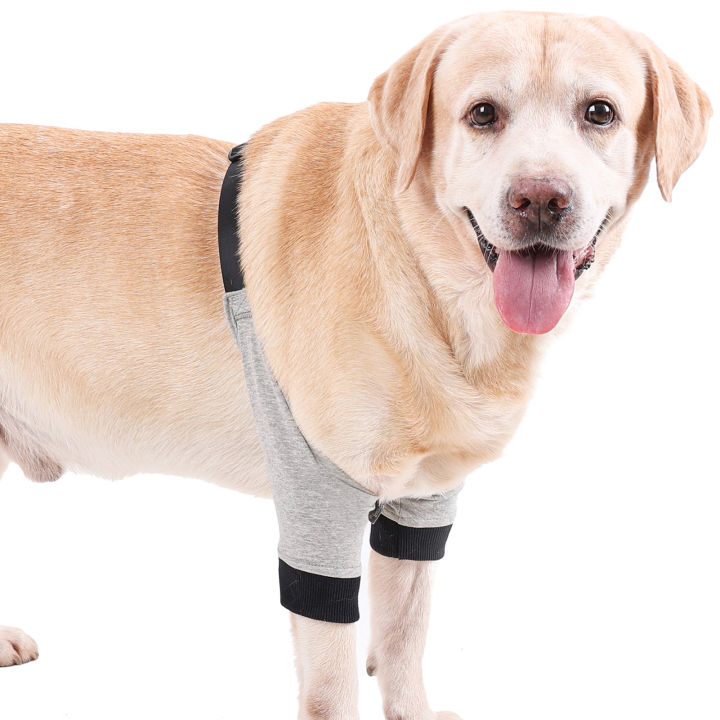 อุปกรณ์ป้องกันข้อศอกสำหรับสุนัข-ปลอกหุ้มขาด้านหน้าปรับได้อุปกรณ์ป้องกันอาการบาดเจ็บสำหรับสัตว์เลี้ยงจำนวน1คู่