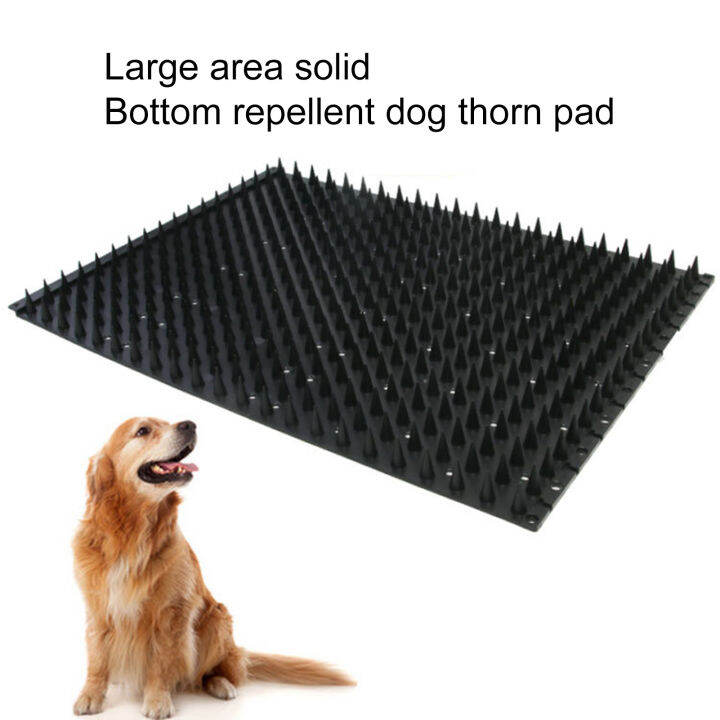 Pet country Effective Pet Deterrent Mat with Spikes Plants Furniture