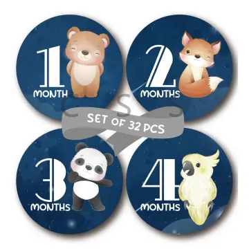 Monthly Baby Boy Stickers Baby Month Stickers Milestone One Piece