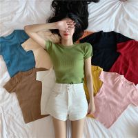 Womens Korean Style Solid Short Sleeve Knitted y Slim T-Shirt Blouse Tops Korean top